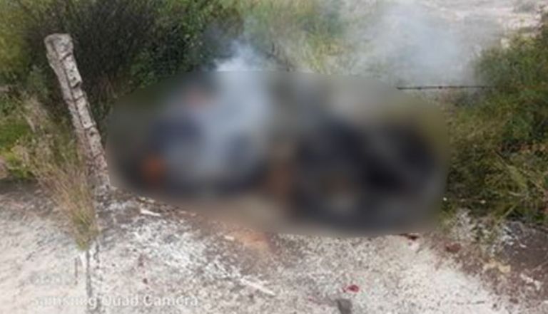 Perritos calcinados en Maravatío