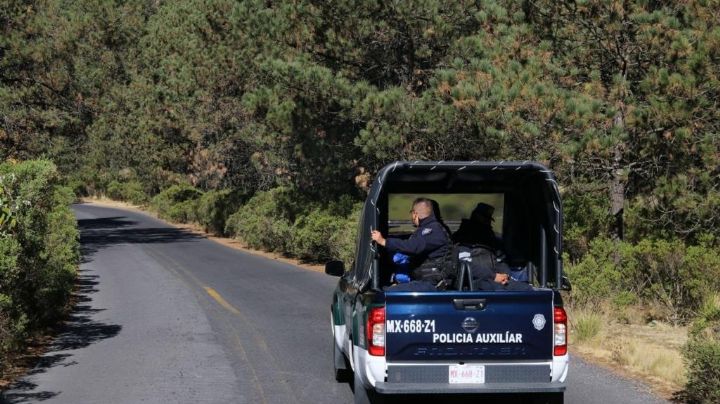 Tala ilegal en CDMX: Tlalpan crea campaña para combatir este delito en Ajusco y Topilejo