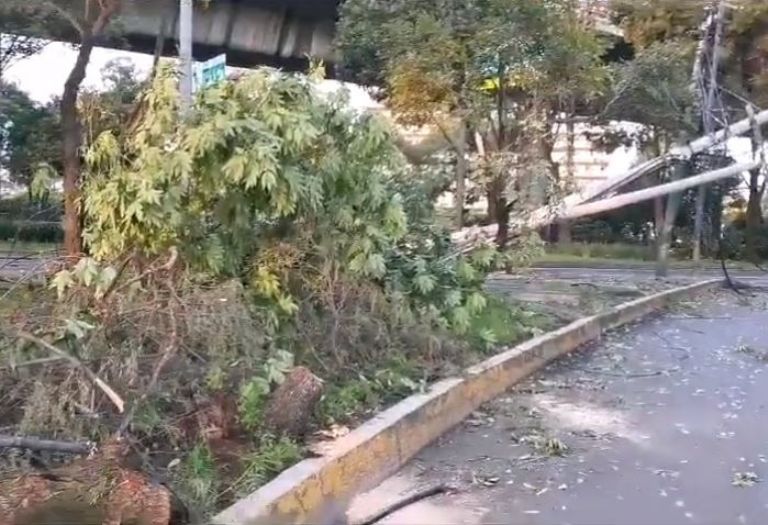 Caos en Periférico Sur