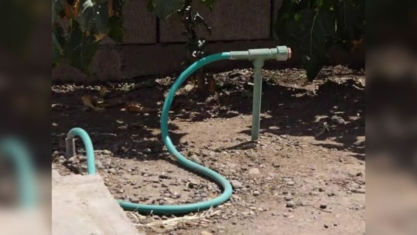 "En Cajeme se desperdicia el agua": Javier Lamarque sobre actividades agropecuarias