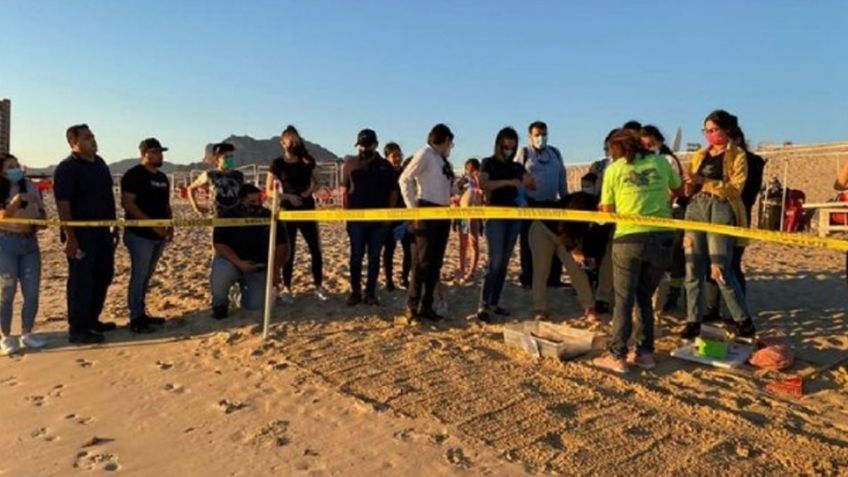 Brindarán taller de cuidado al medio ambiente a turisteros y yateros de San Carlos 