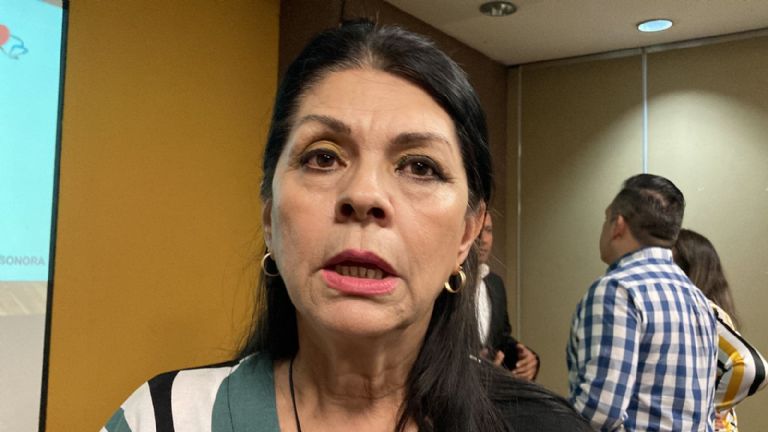 Diputada de Morena 