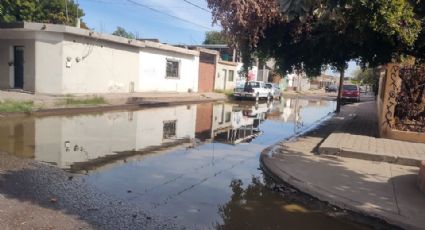 Mal estado de red sanitaria en Cajeme rebasa trabajos de Oomapas; hay fugas y colapsos