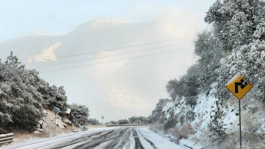 Clima en Sonora: Nuevo Frente Frío causará lluvias y nevadas HOY 11 de enero, dice Conagua