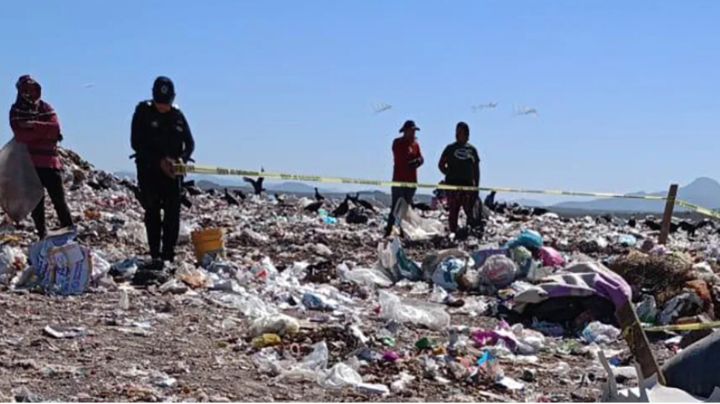 Tendría dos meses de vida: Hallan el cadáver de un bebé en un basurero de Sinaloa