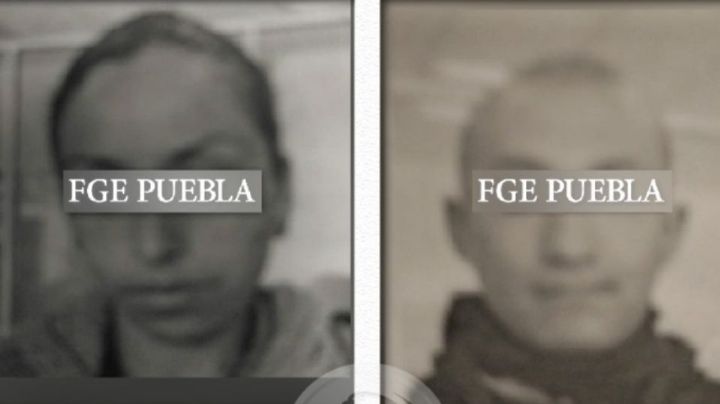 Vinculan a proceso a 2 individuos por maltrato a 12 perros en supuesto refugio en Puebla