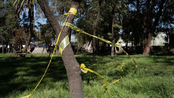 Localizan a otro perro descuartizado en el Bosque de Nativitas; suman 22 en seis meses