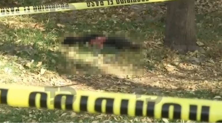 Perrito asesinado en Nativitas