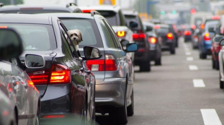 Tenencia 2024: Así puedes conseguir un descuento del 100 por ciento en el pago en Edomex