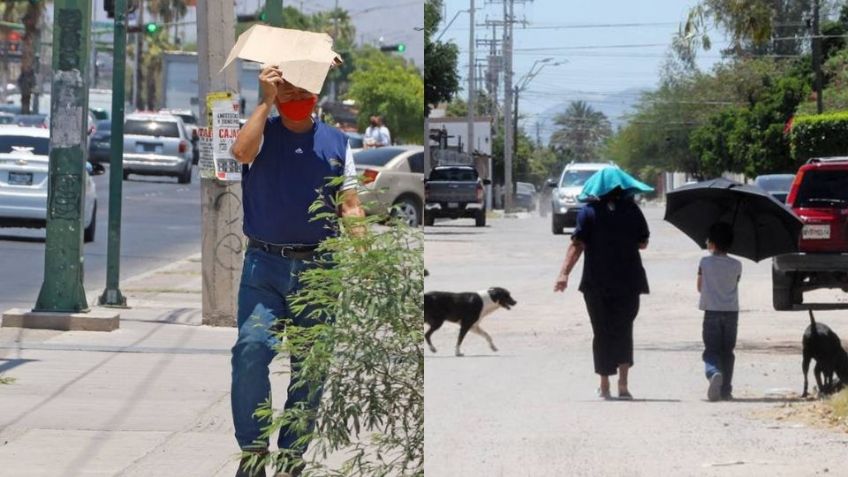 Muertes por calor, el gran riesgo para Sonora en 2024