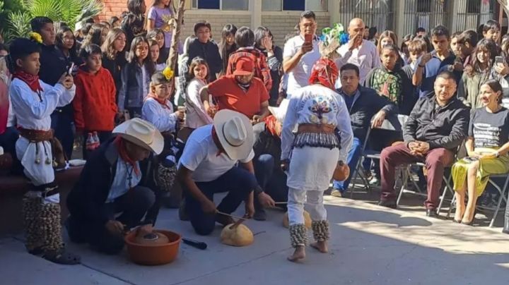 Niños mayos llevarán las danzas y música yoreme al FAOT