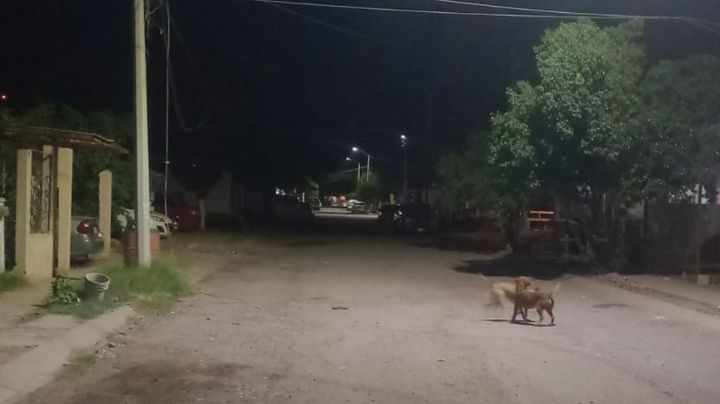 Vecinos del norte de Guaymas, denuncian que tienen 9 años sin alumbrado público 
