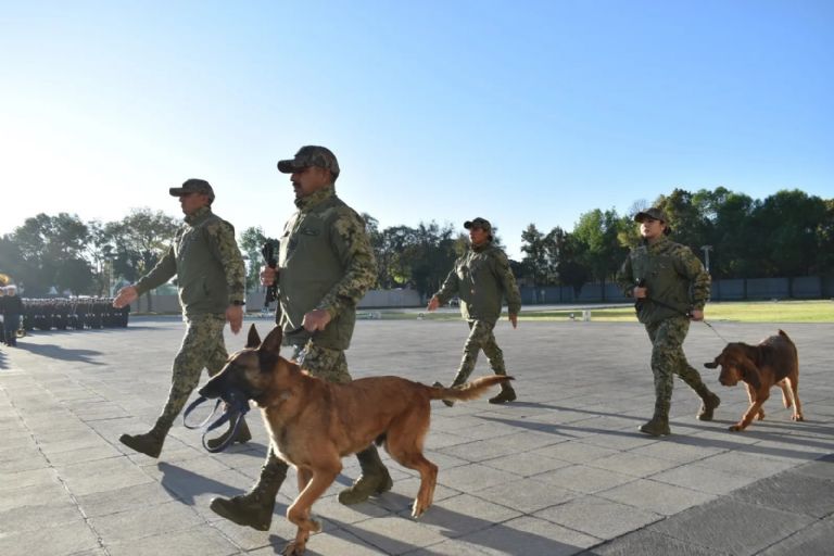 Se jubila Max, perrita que ayudó atrapar a Caro Quintero