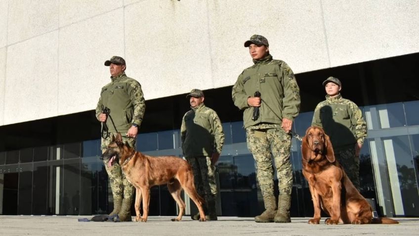 Emotiva ceremonia de jubilación para Max y Ecko, los perros que ayudaron a atrapar a Caro Quintero