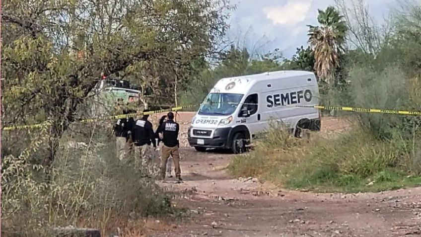 Vecinos de Cajeme salen a caminar y hallan restos humanos: Reconocen a víctima