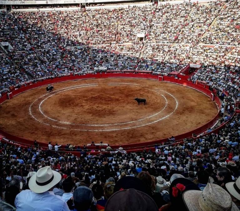 Regreso de la Monumental Plaza de Toros México