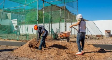 Parque infantil de Guaymas será reinaugurado; se realizó una inversión de 8 millones de pesos