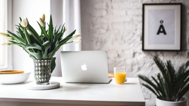 Feng Shui para sentirte mejor en la oficina; establece armonía con estos tips