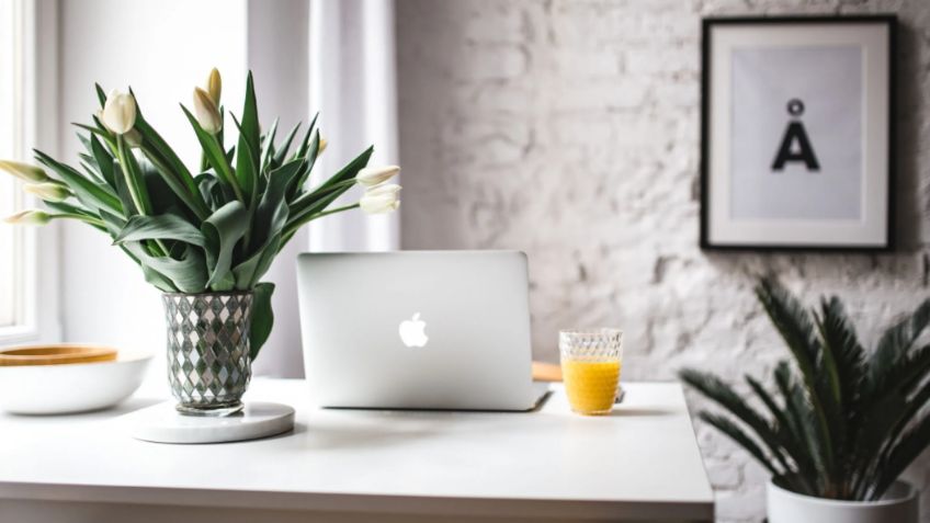 Feng Shui para sentirte mejor en la oficina; establece armonía con estos tips