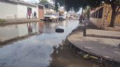 Ciudad Obregón: Vecinos de la colonia Cortinas cerrarían calle en protesta por aguas negras