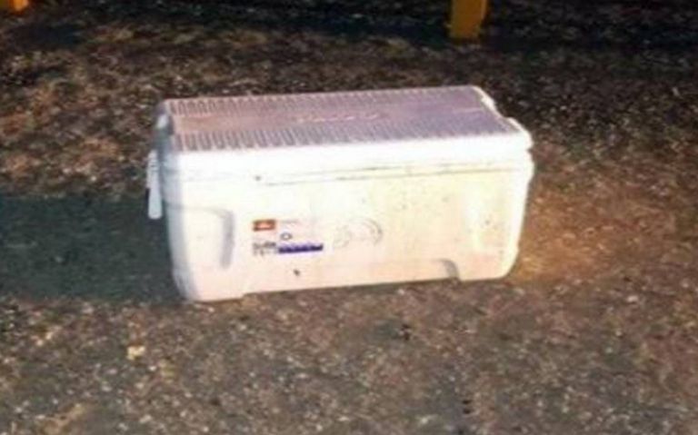 Reportan el hallazgo de una cabeza humana dentro de una hielera frente al Reclusorio Norte