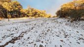 Clima en Sonora 31 de enero: Conagua advierte lluvias aisladas y caída de nieve; ¡abrígate!