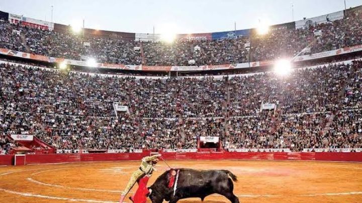Justicia: Juez suspende, de nueva cuenta, corridas de toros en la Ciudad de México