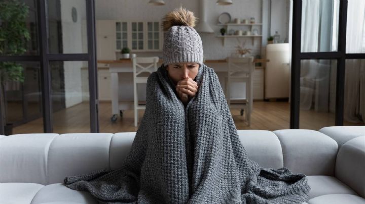 Tips para combatir las bajas temperaturas en invierno 2024; protégete de enfermedades