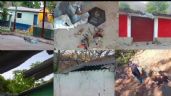 La Familia Michoacana en Guerrero masacró a 30 pobladores de la comunidad de Buenavista