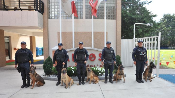 Regreso a clases 2024: Implementan operativo especial en escuelas del Estado de México