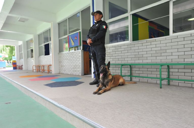 Operativo Regreso a Clases 2024