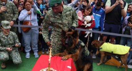 Celebra Sedena cumpleaños de Arkadas, perrito donado por Turquía tras muerte de Proteo