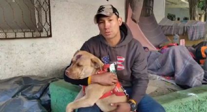 Pitbull venezolano es golpeado por policías; Sansón y su dueño están varados en Torreón