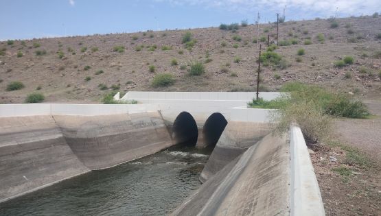 Productores del Valle del Yaqui obtienen prórroga para el análisis de perspectivas del ciclo agrícola