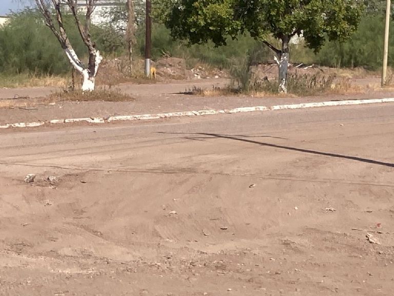 Ciudad Obregón: Industriales adelantan trabajos de mejora de calles en el PICO