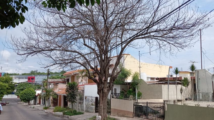 Clima en Culiacán hoy 12 de octubre: Conagua alerta por Altas temperaturas y ola de calor