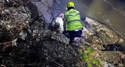 Autoridades de la CDMX rescatan a hombre tras caer a barranco en Álvaro Obregón