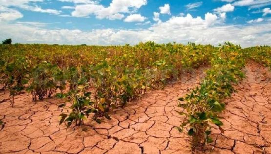 Javier Lamarque señala que Cajeme debe apostarle a la reconversión del campo