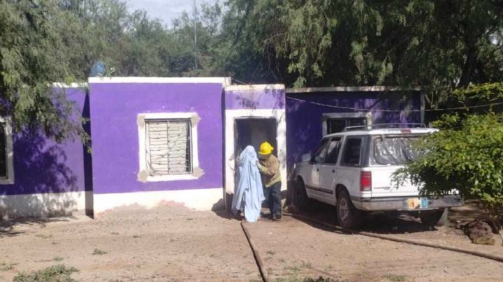 Familias del municipio de Etchojoa sufren constantes ataques de abejas