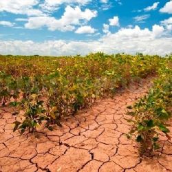 “En los Valles del Yaqui y Mayo se respira una gran necesidad”: Alcano