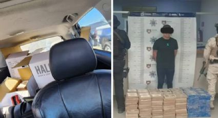 Aseguran un millonario de cargamento de cocaína en Tijuana; hay un detenido