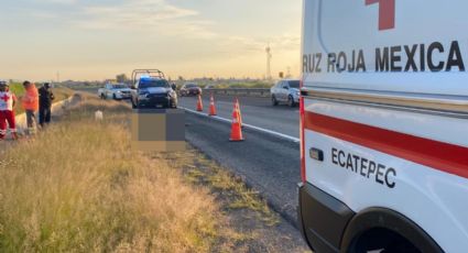 Fatídico accidente: Hombre muere atropellado en el Circuito Exterior Mexiquense