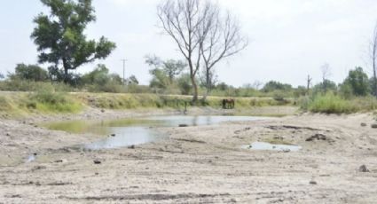 Cuota ecológica, un compromiso incumplido que mantiene seco al río mayo