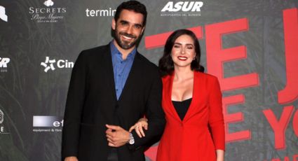 Ariadne Díaz respondió si trabajar con su exnovio ha reavivado sentimientos por él