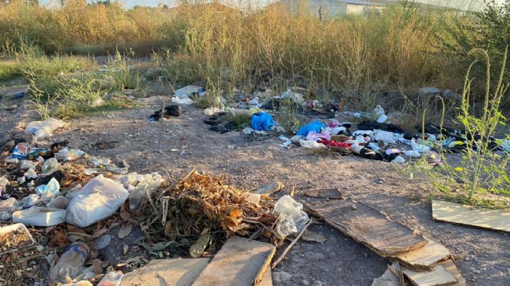 Vecinos de fraccionamiento Pedregal en Navojoa denuncian basureros clandestinos