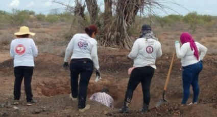 16 cuerpos enterrados en fosas clandestinas en Sonora y BCS: Madres Buscadoras