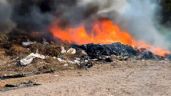 Foto ilustrativa de la nota titulada Basurón de Empalme daña al medio ambiente desde hace 20 años; piden soluciones