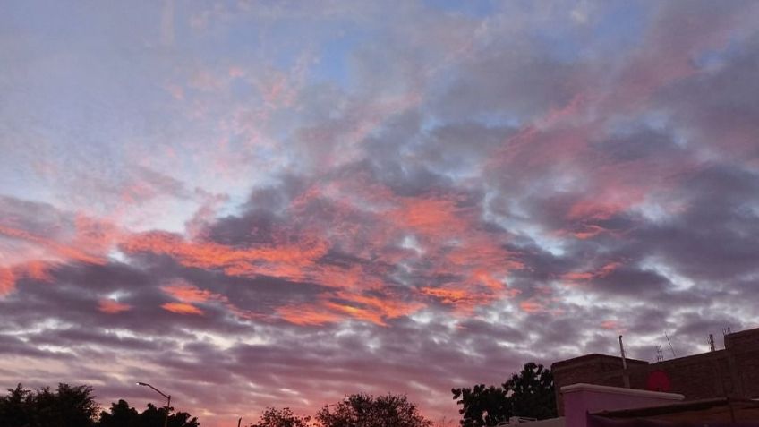 Clima en Ciudad Obregón hoy 20 de octubre: Día soleado sin probabilidad de lluvia en Cajeme