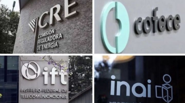 Organismos autónomos: ¿Qué son y qué implica la Reforma de AMLO para desaparecerlos?