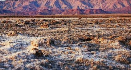 Se extravían 5 cineastas en desierto de BC; trabajaban con el hijo de Alfonso Cuarón